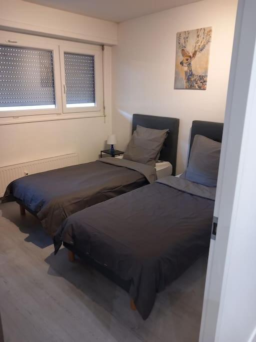 Super Appart Strasbourg 6 Pers Centre-Ville Ideal Luaran gambar